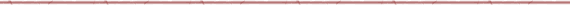 Trennstrich rot